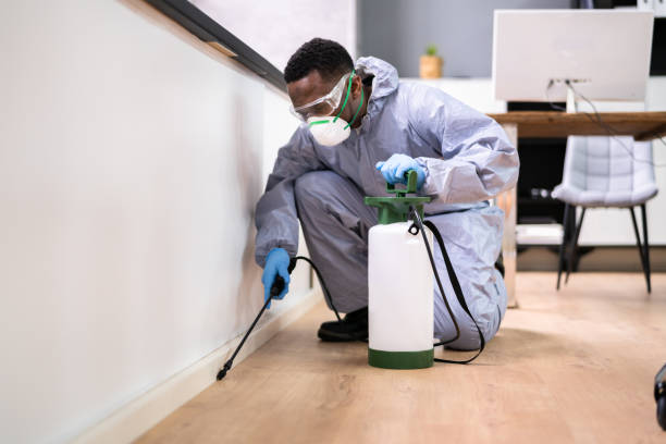 Professional Pest control in Silver Ridge, NJ